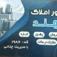 پارسا نادری پور  پروفایل