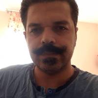 علی تربتی پروفایل