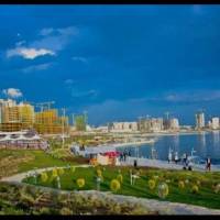 محمد مهدی سهلانی پروفایل