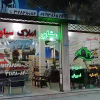 سیاوش عبدالهی پروفایل