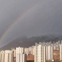 امین یوسفی پروفایل