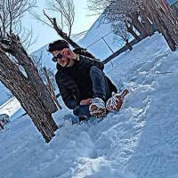احمد رضا جامی  پروفایل
