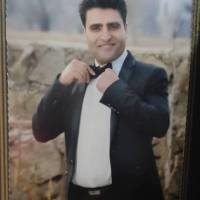 داودی پروفایل