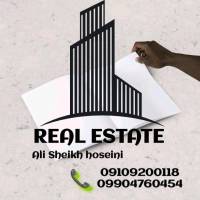 علی شیخ حسینی پروفایل