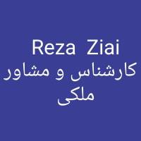 مهندس ضیائی پروفایل