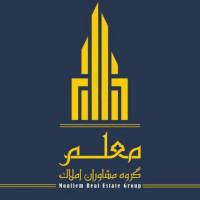 محمد معلم پروفایل