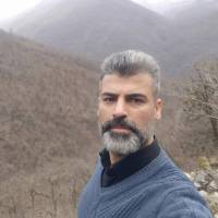سجاد شعبانی  پروفایل