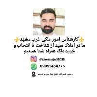 علیرضاسجادی پروفایل