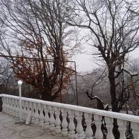 علی جهاندیده پروفایل