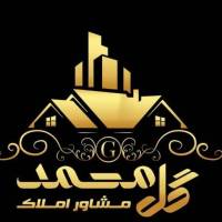 آرمین محمودی پروفایل