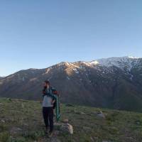 رضا کاوند پروفایل
