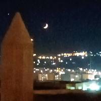 علی محمدی پروفایل
