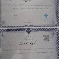 صدرالدین شمسایی پروفایل