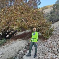 سعیدی پروفایل