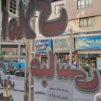 داور محمدی پروفایل