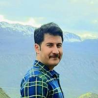 کاوه حسنی پروفایل