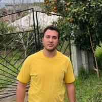 محمدرضا ساوری پروفایل