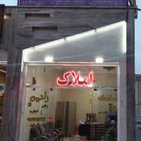رشید انصاری پروفایل