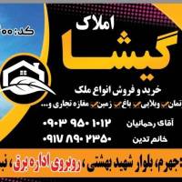 روح اله رحیمی پروفایل