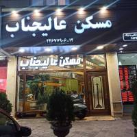 مهدی محمدی  پروفایل