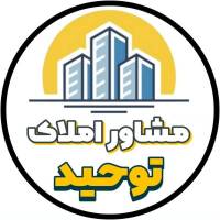 محمدمهدی ربیعی پروفایل