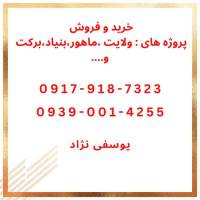 محمد امین یوسفی نژاد پروفایل