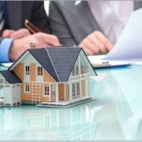 میلاد راینی بیگ زاده پروفایل