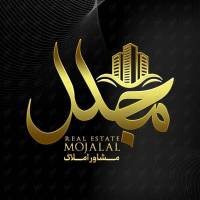خانم پورحامدی  پروفایل