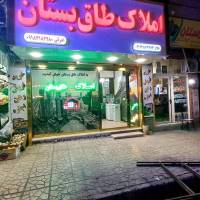 جواد شقاقی فلاح پروفایل