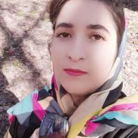 رز مرادی پروفایل