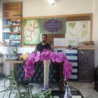 مهندس صابری  پروفایل