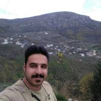 حمید ولی زاده پروفایل