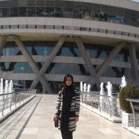 کارشناس حسنی پروفایل
