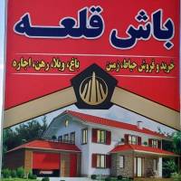 فرزین صادقی پروفایل