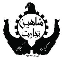 شاهین خلیلی پروفایل