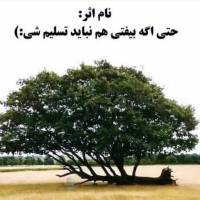 مهندس عزیزی پروفایل