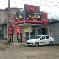 رضا قرائی پروفایل