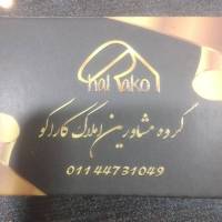 خانم هاشمی گروه مشاورین کاراکو پروفایل