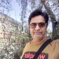 امید تنی پروفایل