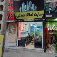 رضا صدقی پروفایل