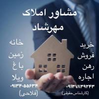 علی فلاحی پروفایل