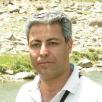 پیمان رحیمی  پروفایل