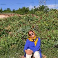 گلریز حیدری پروفایل