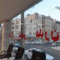 محمدرضا سارانی  پروفایل