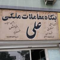علی طعنه پروفایل
