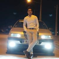 امیر محمد حسنی پروفایل