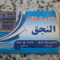 داود تقی زاده پروفایل