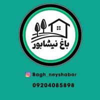 امین پوریامنش پروفایل