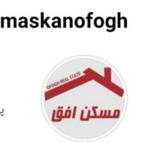 حمیدی پروفایل