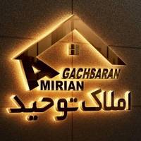 محمدرضا امیریان پروفایل